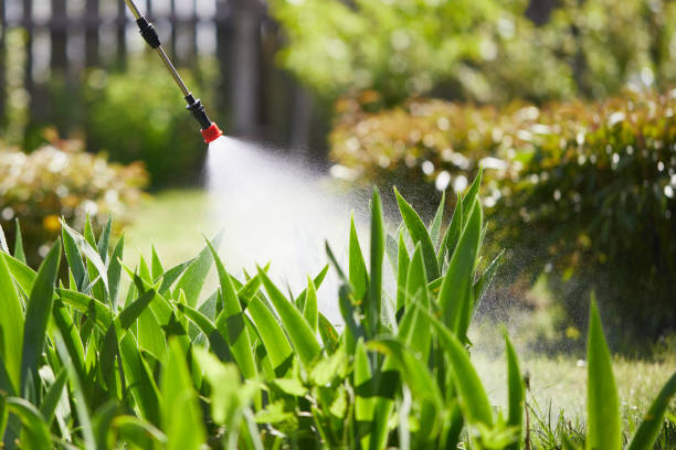 Tamper-Resistant Bait Stations for Rodents in Skidway Lake