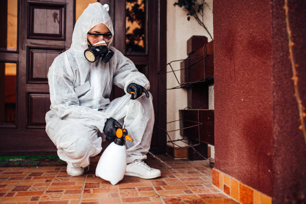 Attic and Crawl Space Rodent Treatment in Skidway Lake