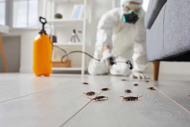 Commercial Rodent Management in Skidway Lake